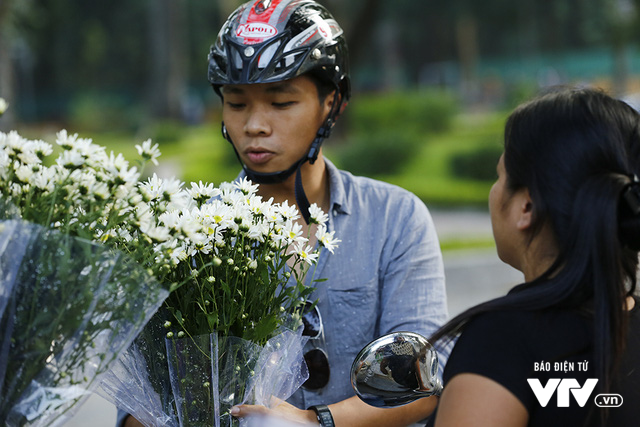 Hà Nội... có một mùa cúc họa mi - Ảnh 4.