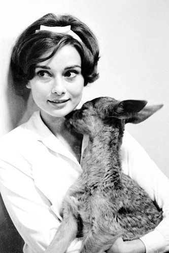 Những chuyện chưa kể về nữ minh tinh Audrey Hepburn - Ảnh 7.