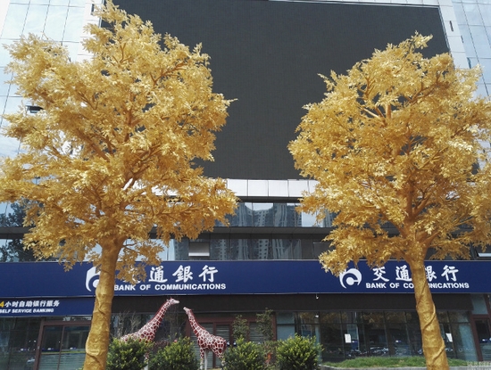 Hàng cây dát vàng gây tranh cãi ở Trung Quốc - Ảnh 1.