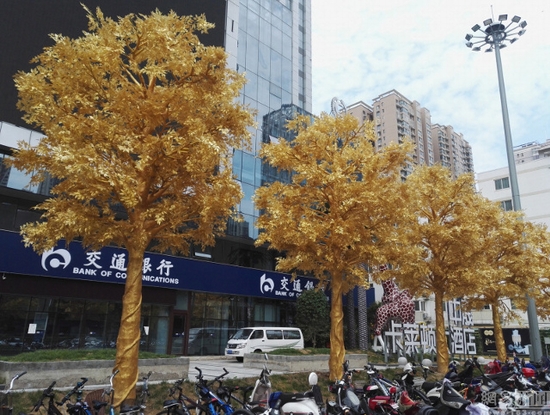 Hàng cây dát vàng gây tranh cãi ở Trung Quốc - Ảnh 2.