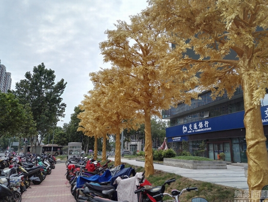 Hàng cây dát vàng gây tranh cãi ở Trung Quốc - Ảnh 3.