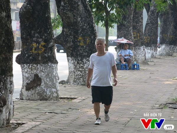 Hà Nội: Di chuyển hàng cây xanh phố Kim Mã, người dân tiếc hùi hụi - Ảnh 3.