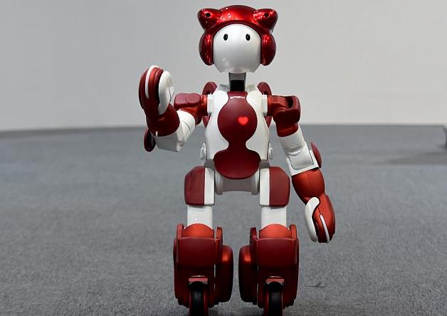 Robot chào đón du khách ở sân bay Nhật Bản - Ảnh 1.