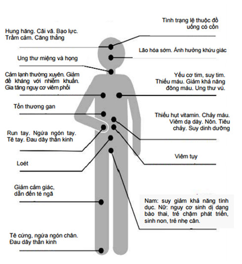 Lạm dụng rượu bia, điều gì sẽ xảy ra? - Ảnh 2.