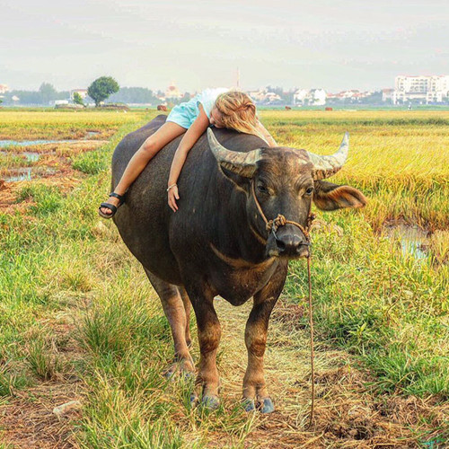 Bà mẹ bỏ việc, đưa con gái 6 tuổi đi du lịch vòng quanh thế giới - Ảnh 9.