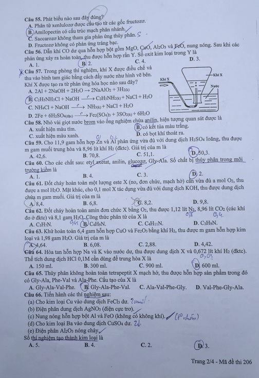 Đề thi tổ hợp môn Khoa học tự nhiên (Vật lý, Hóa, Sinh) của kỳ thi THPT Quốc gia 2017 - Ảnh 11.