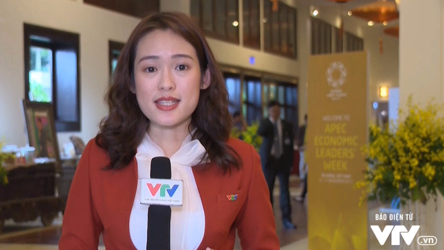 VTV tập trung truyền tải trọn vẹn bầu không khí APEC 2017 trên sóng THVN - Ảnh 9.