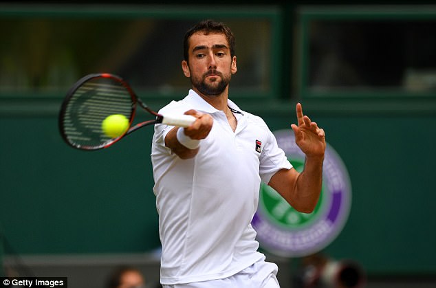 Wimbledon 2017: Marin Cilic giành quyền vào chung kết - Ảnh 2.