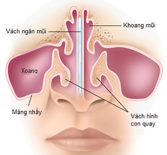 Tác hại của việc lạm dụng thuốc nhỏ mũi - Ảnh 2.