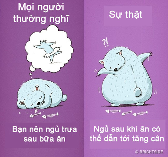 Những sai lầm tai hại mà bạn vẫn lầm tưởng là tốt - Ảnh 5.