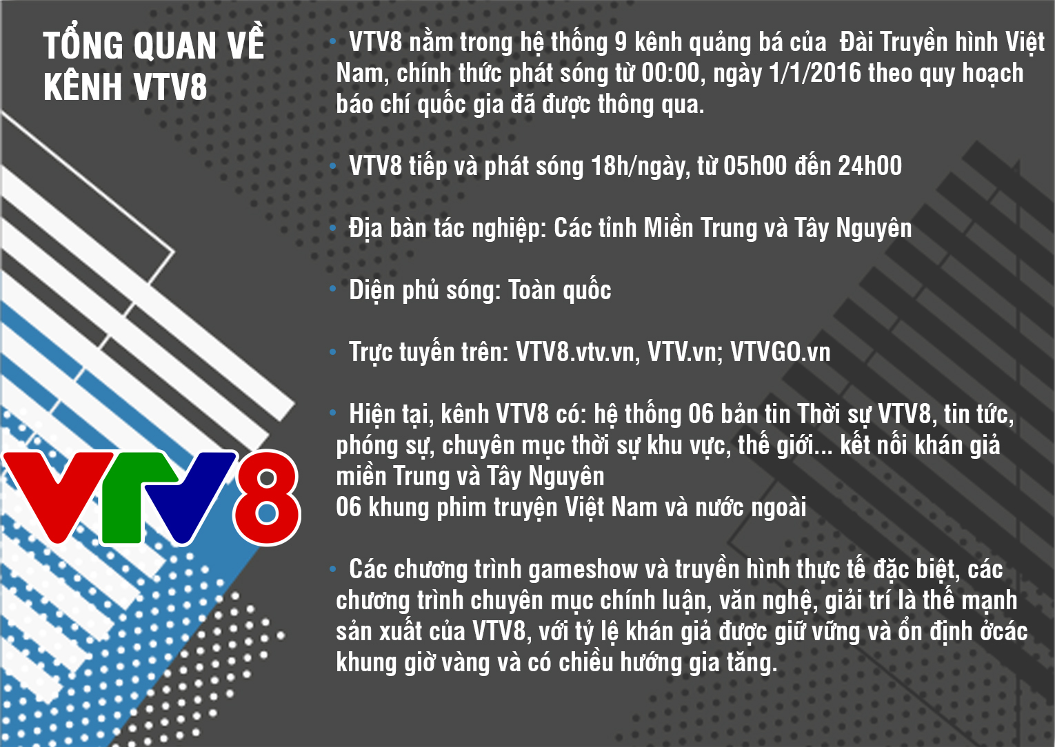 VTV8 và định hướng mới trên môi trường số - Ảnh 4.