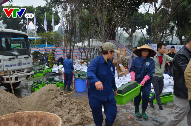 Hàng trăm cây hoa anh đào đã sẵn sàng khoe sắc tại vườn hoa Lý Thái Tổ - Ảnh 5.