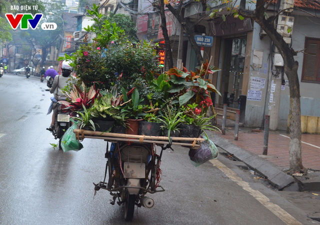 Xe máy cũ nát, không biển số lưu thông trên đường phố Hà Nội - Ảnh 2.