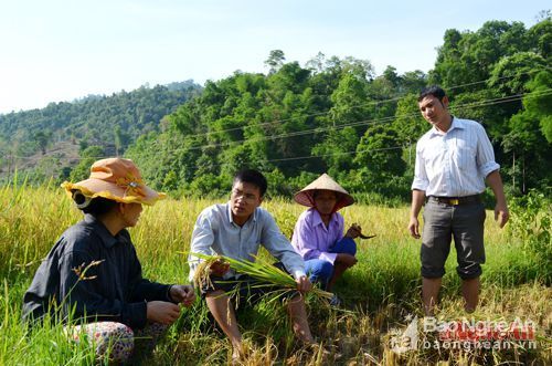 Dự án 600 Phó Chủ tịch xã được đánh giá tích cực - Ảnh 2.