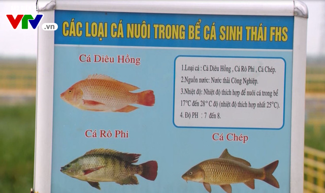 Nước thải, khí thải từ Formosa Hà Tĩnh đạt quy chuẩn cho phép - Ảnh 2.