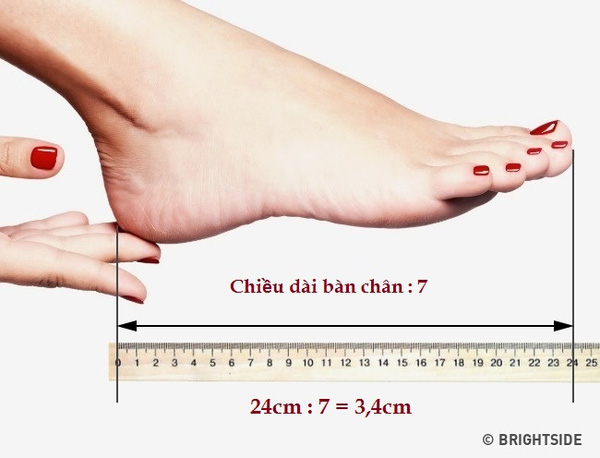 Mẹo chọn giày cao gót mà không sợ đau chân - Ảnh 1.