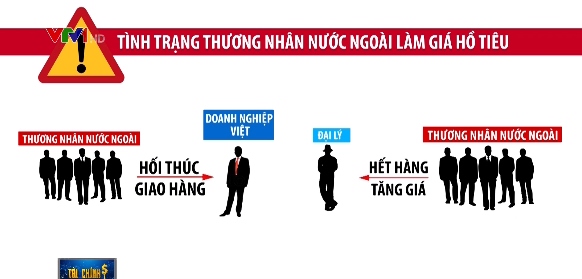 Vạch trần chiêu thương nhân nước ngoài làm giá hồ tiêu - Ảnh 1.