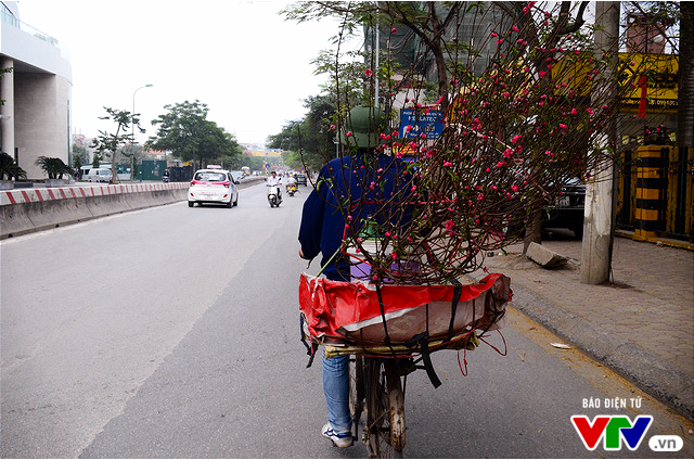 Hà Nội: Sắc hoa đào nhẹ nhàng xuống phố - Ảnh 1.