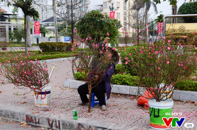 Hà Nội: Sắc hoa đào nhẹ nhàng xuống phố - Ảnh 6.