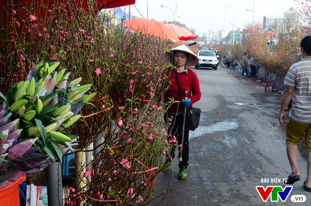 Hà Nội: Sắc hoa đào nhẹ nhàng xuống phố - Ảnh 8.