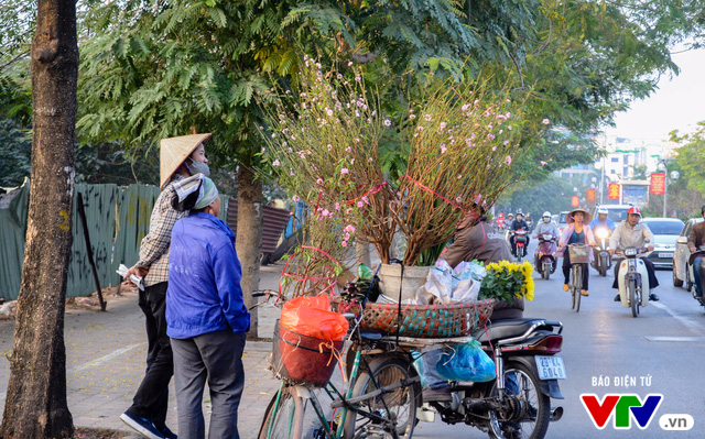 Hà Nội: Sắc hoa đào nhẹ nhàng xuống phố - Ảnh 3.