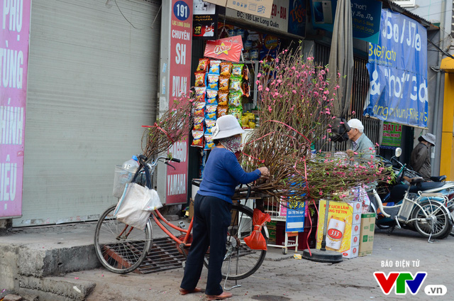 Hà Nội: Sắc hoa đào nhẹ nhàng xuống phố - Ảnh 4.