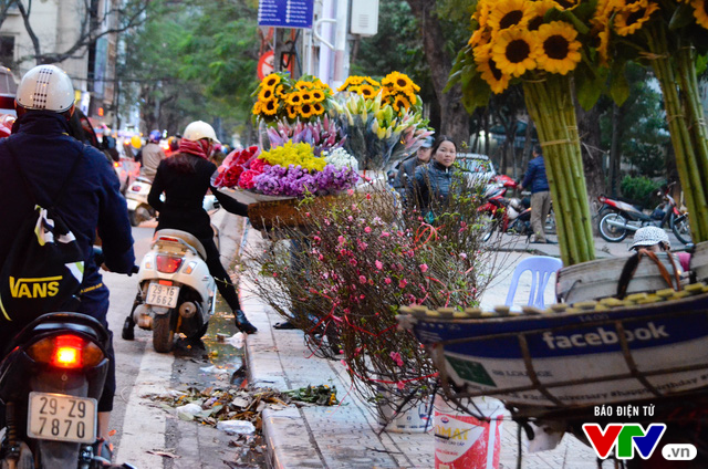 Hà Nội: Sắc hoa đào nhẹ nhàng xuống phố - Ảnh 2.