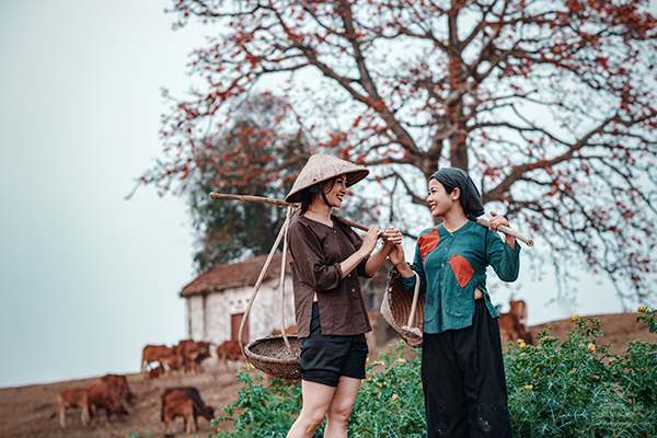 Bồi hồi mùa hoa gạo rực đỏ tháng 3 - Ảnh 12. Bồi hồi mùa hoa gạo rực đỏ tháng 3 - Ảnh 12.