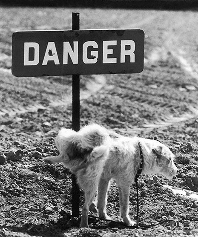 Những g&oacute;c ảnh đường phố c&agrave;ng nh&igrave;n c&agrave;ng thấy &yacute; vị - Ảnh 30.