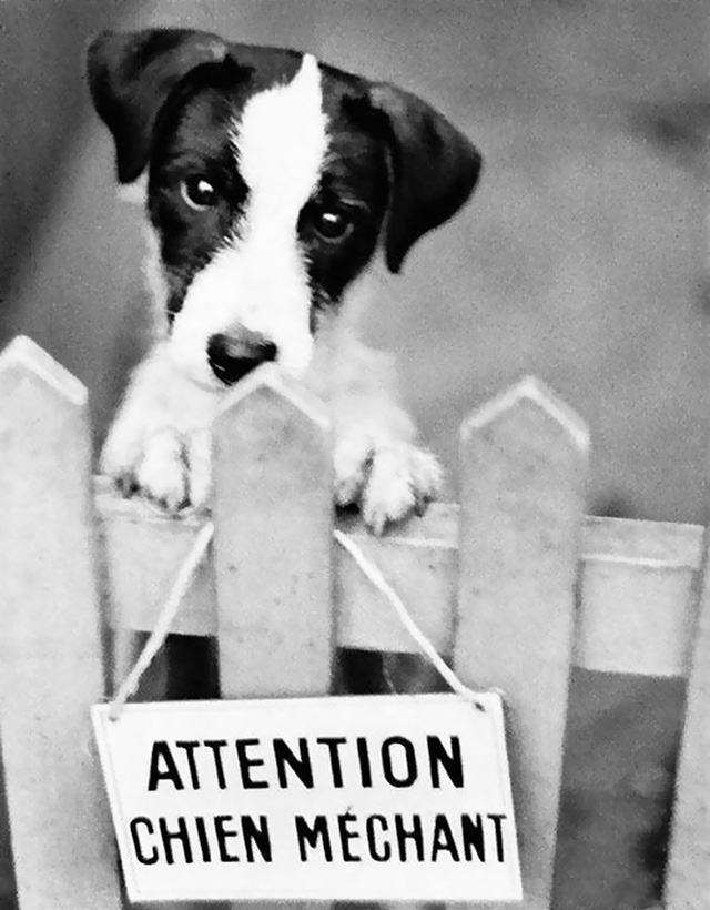 Những g&oacute;c ảnh đường phố c&agrave;ng nh&igrave;n c&agrave;ng thấy &yacute; vị - Ảnh 32.