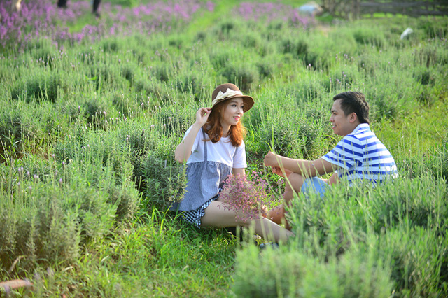 Vườn hoa lavender ở Hà Nội mới hé nụ đã hút khách - Ảnh 14. Vườn hoa lavender ở Hà Nội mới hé nụ đã hút khách - Ảnh 14.