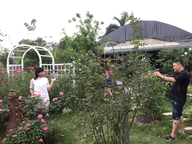 Hà Nội có trang trại hoa hồng 300 loài, mở cửa miễn phí - Ảnh 11.