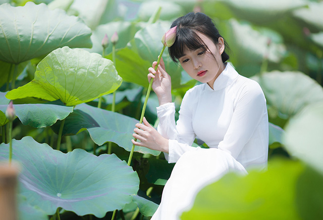 Nữ sinh Bưu chính viễn thông thích đọc sách, yêu hoa sen - Ảnh 18. Nữ sinh Bưu chính viễn thông thích đọc sách, yêu hoa sen - Ảnh 18.