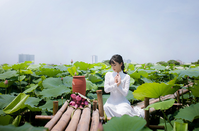 Nữ sinh Bưu chính viễn thông thích đọc sách, yêu hoa sen - Ảnh 20. Nữ sinh Bưu chính viễn thông thích đọc sách, yêu hoa sen - Ảnh 20.