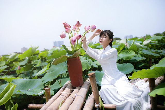 Nữ sinh Bưu chính viễn thông thích đọc sách, yêu hoa sen - Ảnh 24. Nữ sinh Bưu chính viễn thông thích đọc sách, yêu hoa sen - Ảnh 24.