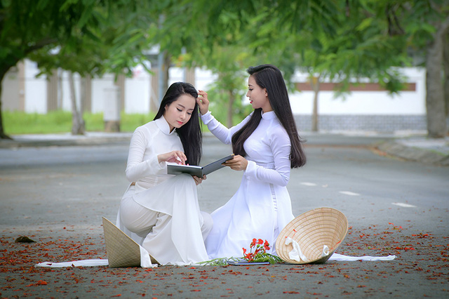 Mùa hoa phượng vĩ ở thành phố mang tên Bác - Ảnh 6. Mùa hoa phượng vĩ ở thành phố mang tên Bác - Ảnh 6.