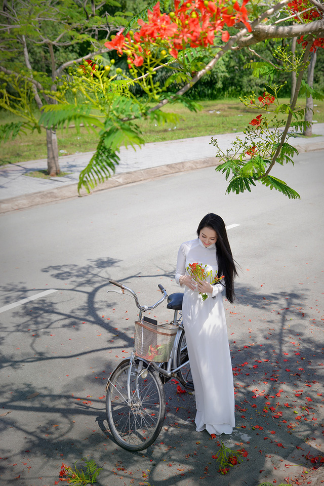 Mùa hoa phượng vĩ ở thành phố mang tên Bác - Ảnh 10. Mùa hoa phượng vĩ ở thành phố mang tên Bác - Ảnh 10.