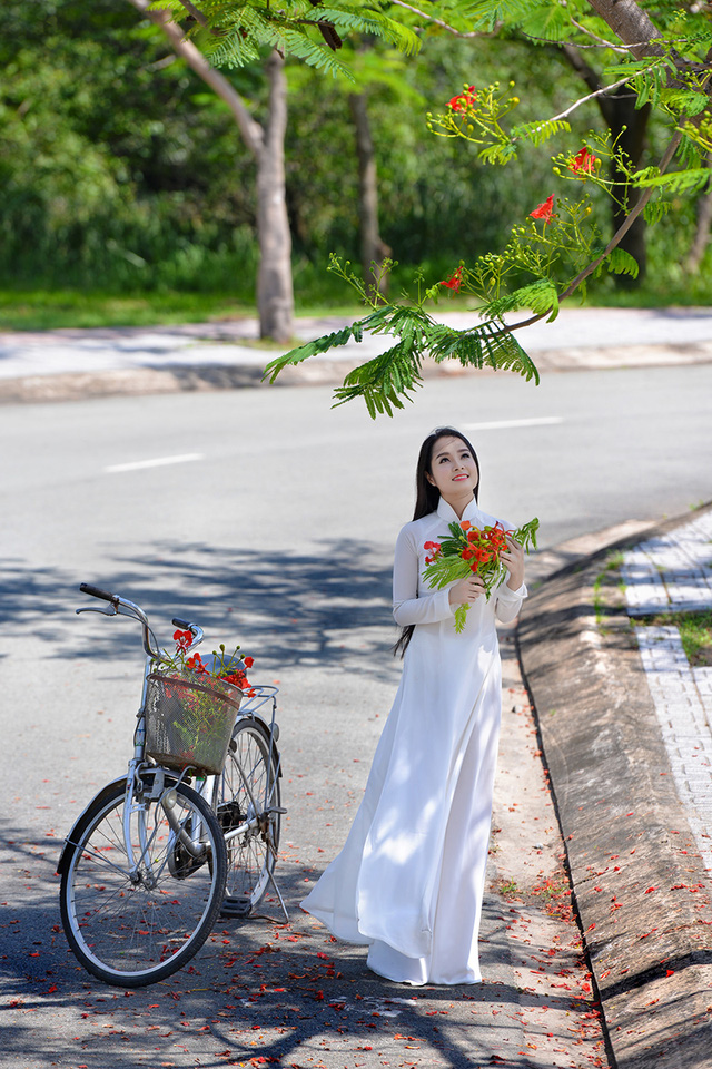 Mùa hoa phượng vĩ ở thành phố mang tên Bác - Ảnh 14. Mùa hoa phượng vĩ ở thành phố mang tên Bác - Ảnh 14.