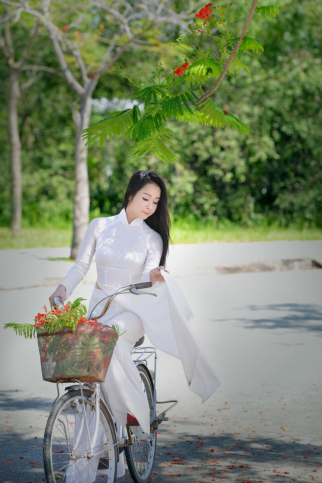 Mùa hoa phượng vĩ ở thành phố mang tên Bác - Ảnh 22. Mùa hoa phượng vĩ ở thành phố mang tên Bác - Ảnh 22.