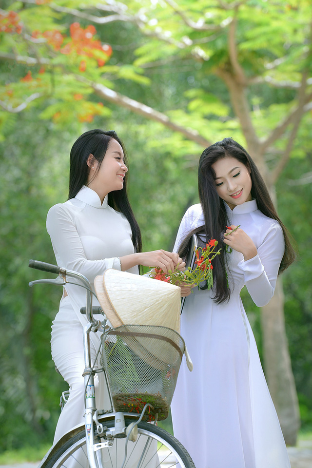 Mùa hoa phượng vĩ ở thành phố mang tên Bác - Ảnh 38. Mùa hoa phượng vĩ ở thành phố mang tên Bác - Ảnh 38.