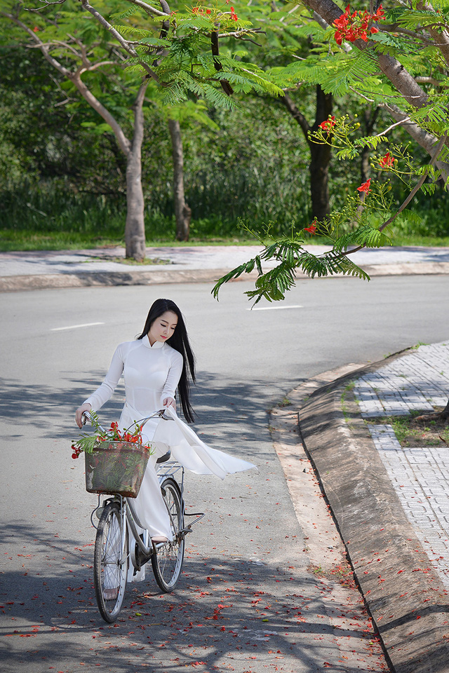 Mùa hoa phượng vĩ ở thành phố mang tên Bác - Ảnh 46. Mùa hoa phượng vĩ ở thành phố mang tên Bác - Ảnh 46.