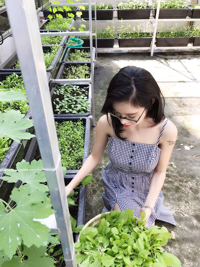 Thích mê vườn rau ban công của người đẹp nóng bỏng nhất nhì showbiz Việt - Ảnh 10. Thích mê vườn rau ban công của người đẹp nóng bỏng nhất nhì showbiz Việt - Ảnh 10.