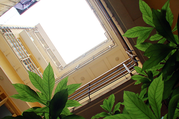 Thăm ng&ocirc;i nh&agrave; B&aacute;c Hồ viết bản tuy&ecirc;n ng&ocirc;n độc lập - Ảnh 28.