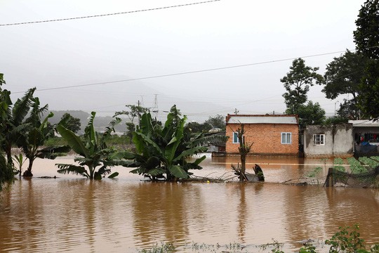 Hàng trăm ha hoa màu tại Lâm Đồng bị bão số 12 cuốn trôi - Ảnh 1.