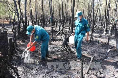 Vụ cháy hơn 36 ha rừng tràm: Do tàn thuốc lá - Ảnh 2.