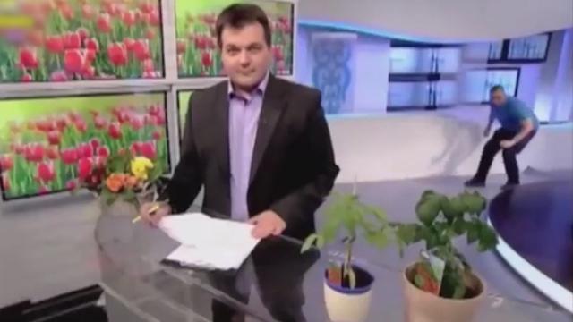 Cười lăn lộn với màn trườn bò khó đỡ trên sóng truyền hình - Ảnh 1.