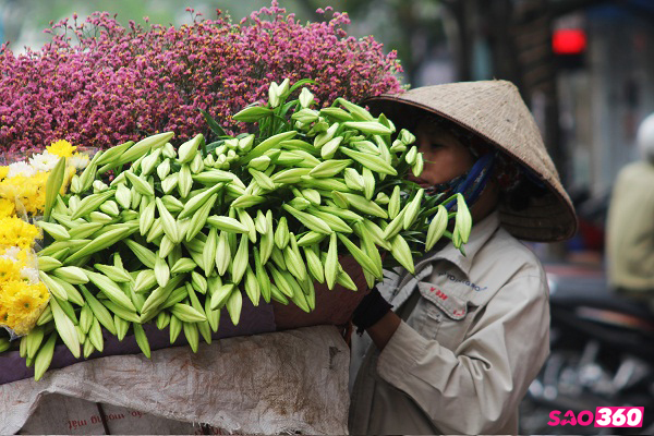 Dịu dàng tháng tư, loa kèn về ngang phố - Ảnh 1.