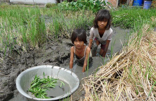 Thương 3 chị em mồ côi quần áo rách bươm, chạy ăn từng bữa - Ảnh 1.