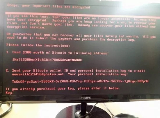 Cảnh báo khẩn về mã độc tống tiền Petya (Petrwrap) - Ảnh 1.