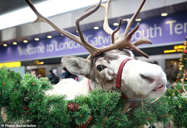 Vì sao ông già Noel rất… “tội nghiệp”? - Ảnh 2.